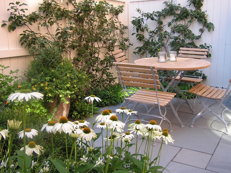 amenagement-petit-jardin-marguerites-plantes-vertes-table-chaises-bois