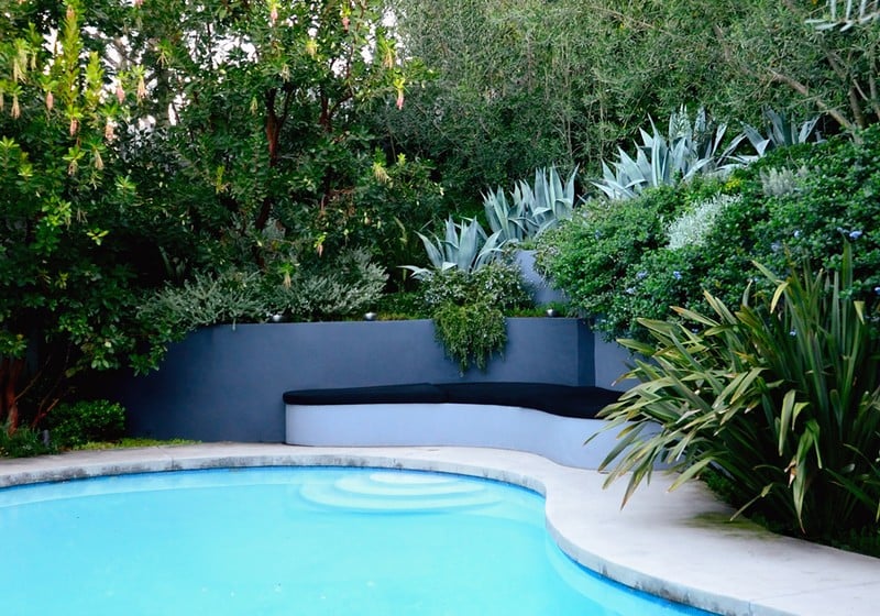 amenagement-petit-jardin-piscine-succulentes-arbres-banc-ovale aménagement petit jardin