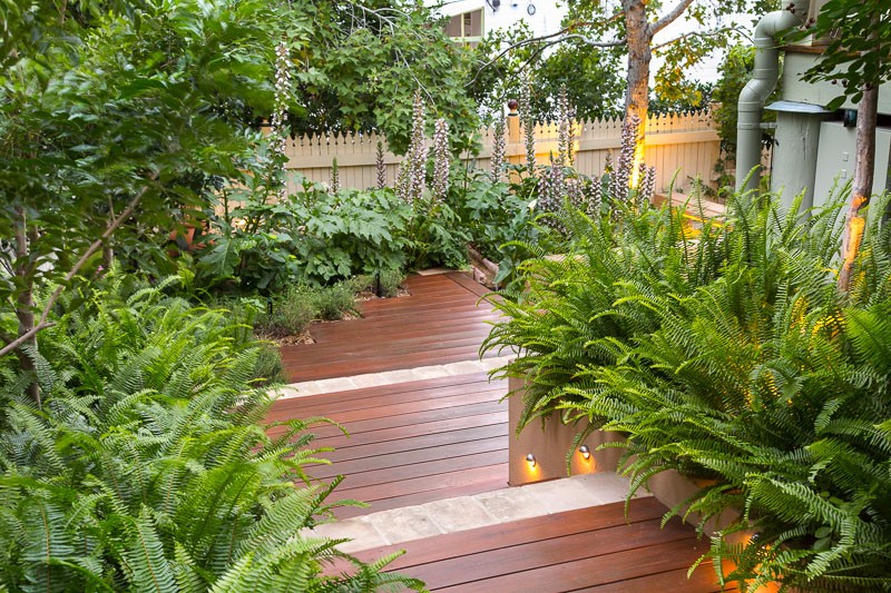 amenagement-petit-jardin-terrasse-bois-composite-fougères-végétation-abondante