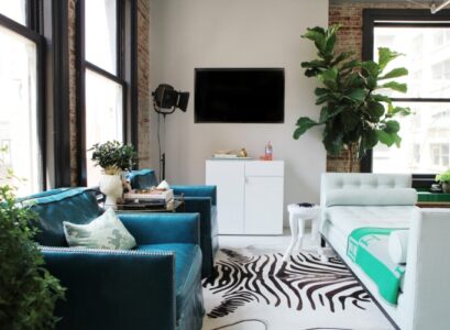 amenagement-salon--tapis-motif-zebre-fauteuil-bleu-table-basse-ronde