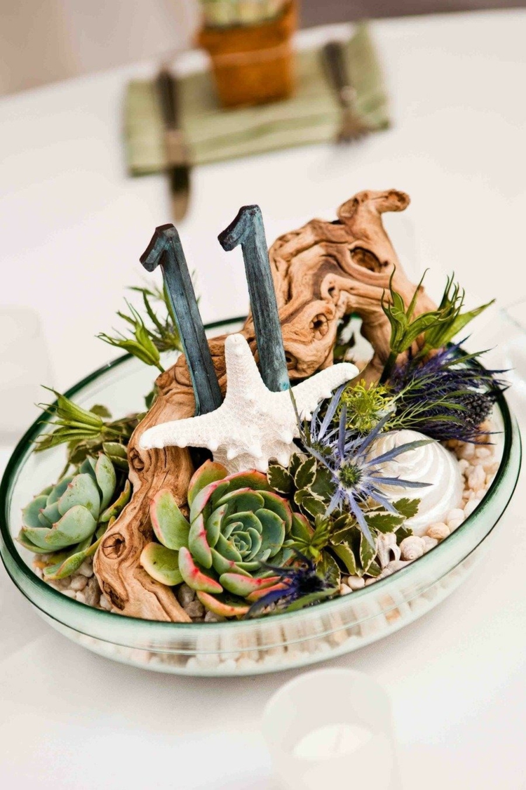 arrangement-plantes-succulentes-bol-verre-cailloux-étoile-mer-bois-flotté