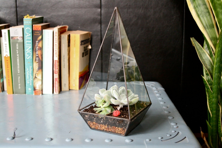 arrangement-plantes-succulentes-piramide-verre-idée-originale plantes succulentes