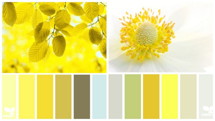 couleur-cuisine-mood-board-nuances-jaune-soleil