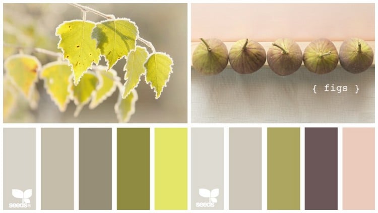 couleur-cuisine-nuances-feuilles-vert-clair-nuances-gris couleur pour cuisine
