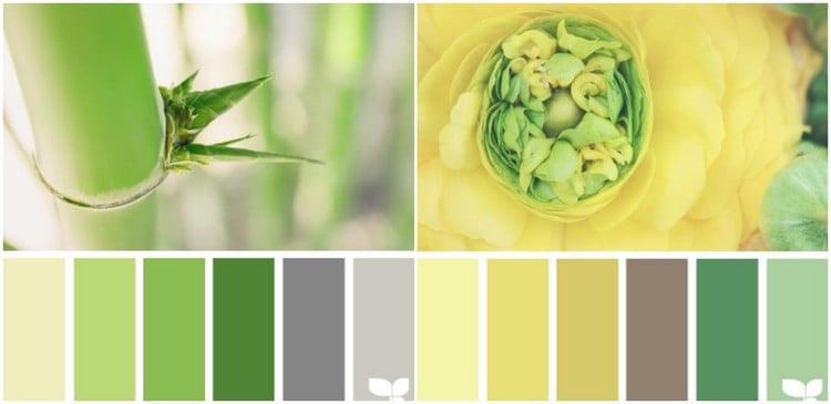 couleur-cuisine-nunaces-vert-jaune