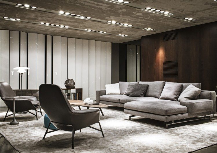 Déco salon gris avec canapé tout confort: 55 idées pour vous! Les beaux fauteuils de salon