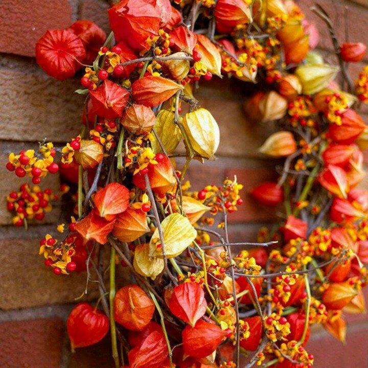 deco-automne-couronne-branchettes-baies-rouges-physalis déco d’automne