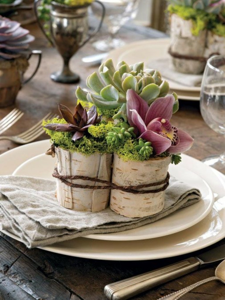 decoration-tronc-bouleau-vase-arrangement-succulentes-orchidée tronc de bouleau