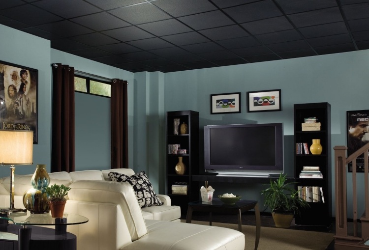 faux plafond  idee-decoration-noir-etageres-rangement-tableau-salon-canape-angle