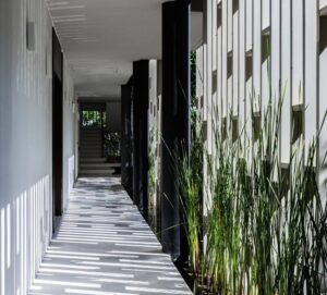 jardin-vertical--allee-plantes