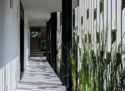 jardin-vertical--allee-plantes