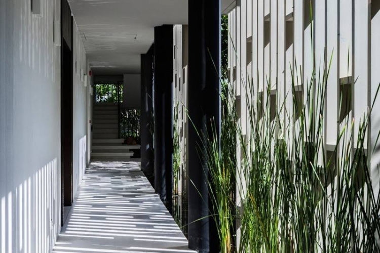 jardin-vertical--allee-plantes