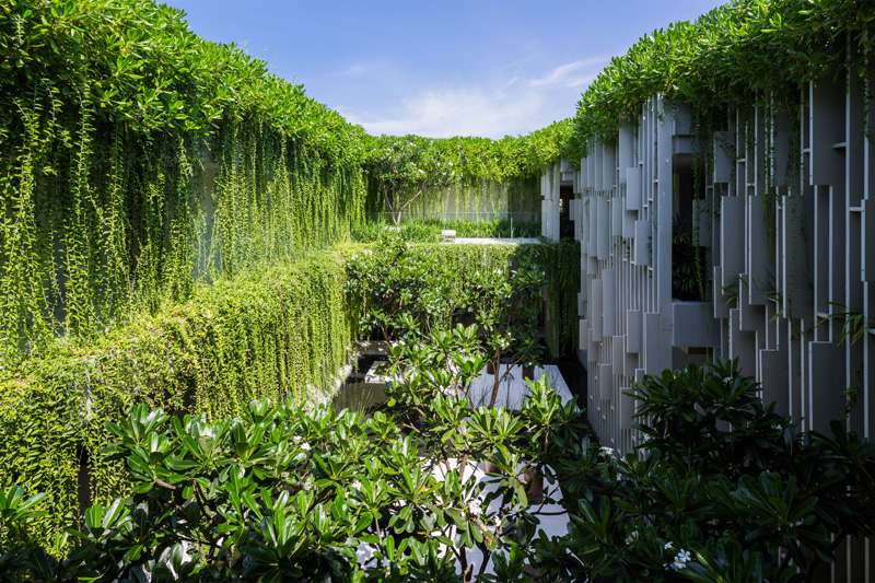 jardin-vertical--vegetation-abondande