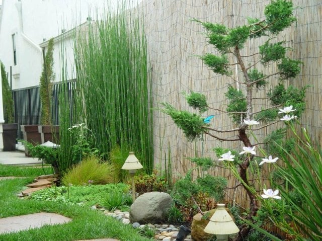 amenagement-jardin-brise-vue-bambou-plantes-vertes-jardin-japonais