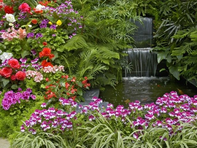 amenagement-jardin-cascade-végétation-opulente-fleurs-roses-palmiers