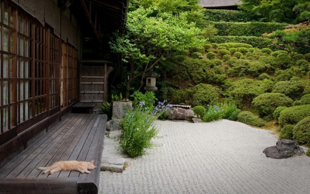 amenagement-jardin-japonais-gravier-décoratif-roches-plantes-vertes-terasse-bois