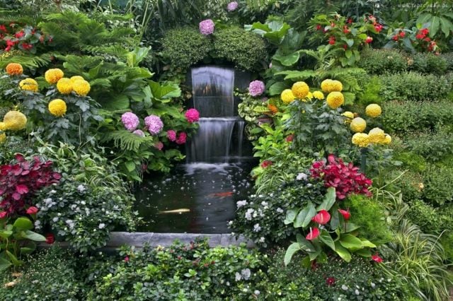 amenagement-jardin-mini-cascade-jardin-fleurs-jaune-rouge-plantes-vertes aménagement de jardin
