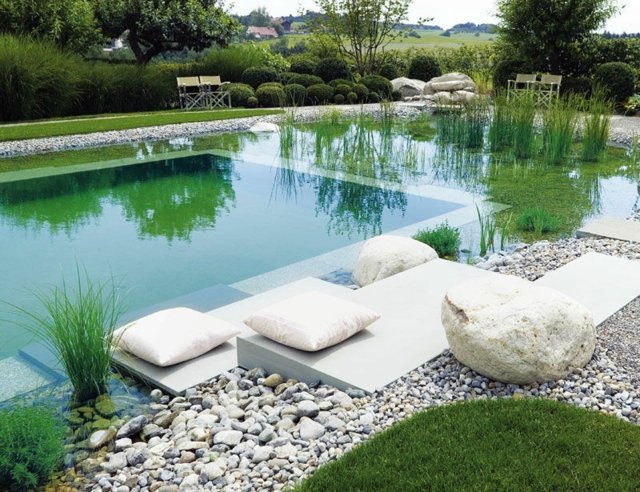 amenagement-jardin-piscine-naturelle-plantes-aquatiques-coussins-blancs