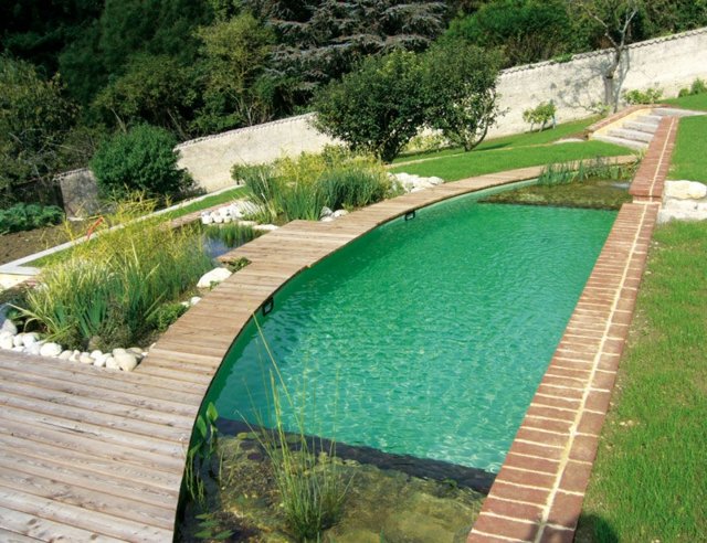 amenagement-jardin-piscine-naturelle-plantes-aquatiques-gazon aménagement de jardin
