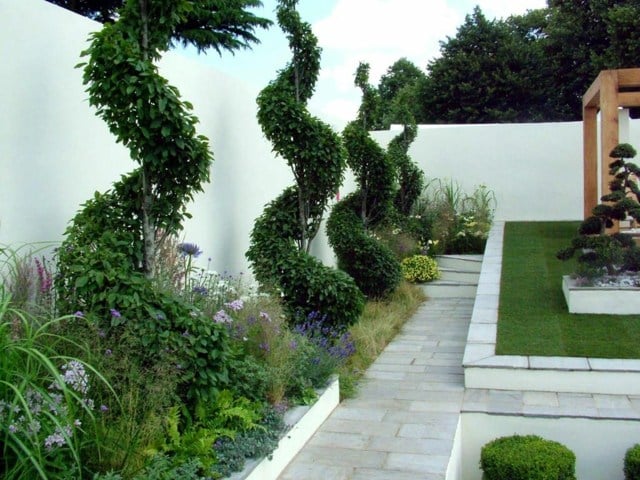 amenagement-jardin-plantes-grimpantes-vertes-fleurs-gazon-bonsai