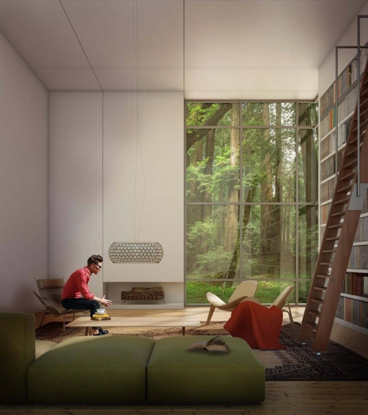 amenagement-salon-moderne-meuble-bibliothèque-canapé-vert-tapis