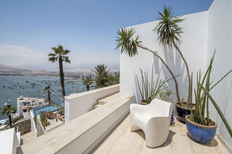 amenagement-terrasse-plantes-exotiques-fauteuil-blanc
