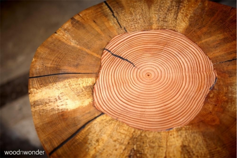 anneaux croissance visibles plateau table bois-Douglas design