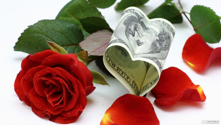 billets-de-banques-mariage-petale-rose