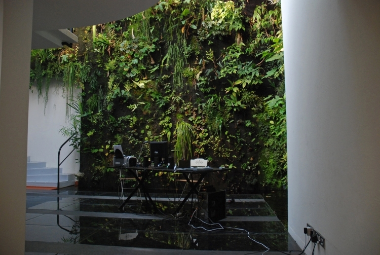 bureau contemporain mur végétal intérieur-luxuriant