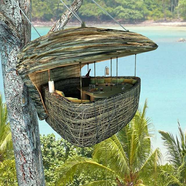cabane-design-arbre-palmier-touche-exotique