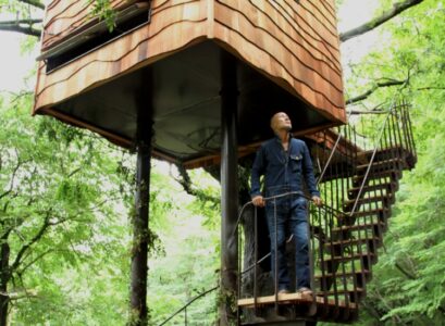 cabane-design-arbres-escalier-jardin