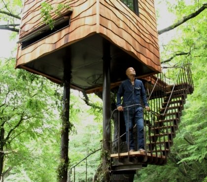 cabane-design-arbres-escalier-jardin