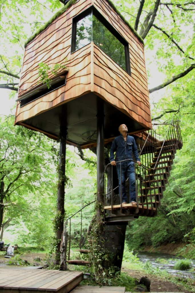 cabane-design-arbres-escalier-jardin