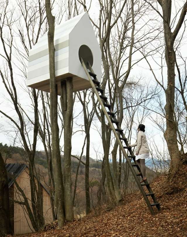 cabane-design-maison-pour-oiseau-arbres-jardin