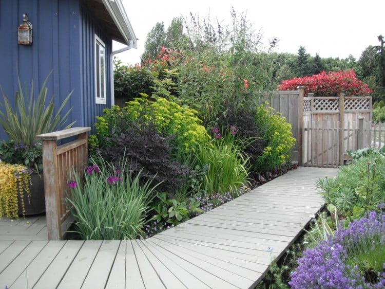 cabane-jardin-moderne-bleue-végétation-opulente-allée-clôture-bois 
