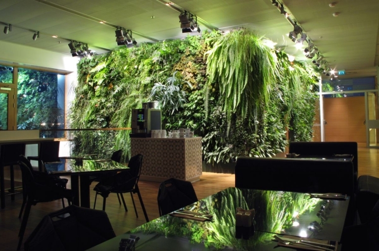 cafétéria moderne mur végétal intérieur fougères