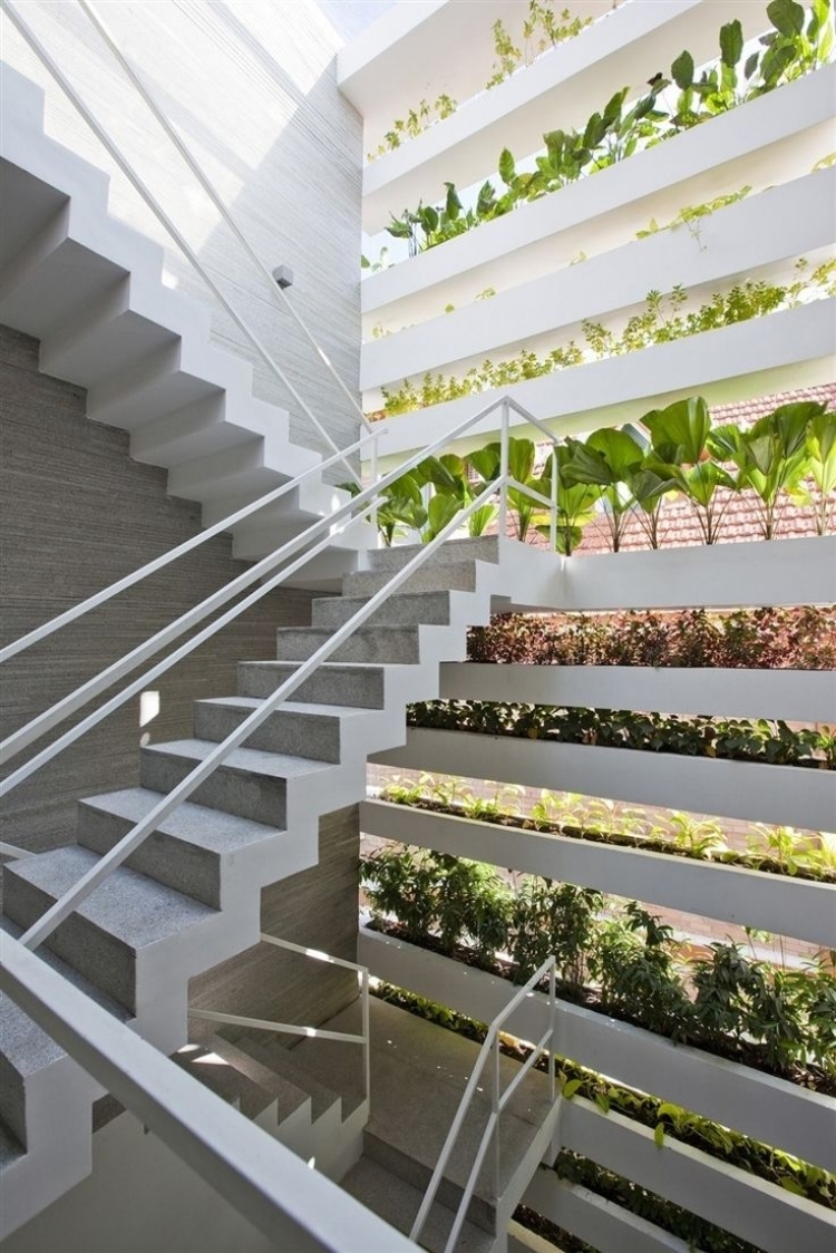 cage-escalier moderne mur végétal intérieur plusieurs lits plantes