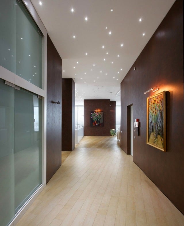 couloir-sol-bois-blanchi-murs-bois-foncé-plafond-étoilé