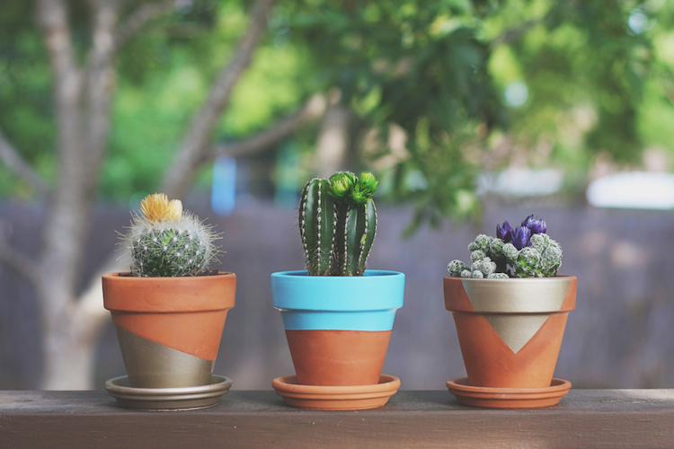 Déco jardin DIY: 35 idées pour intégrer les pots en terre cuite
