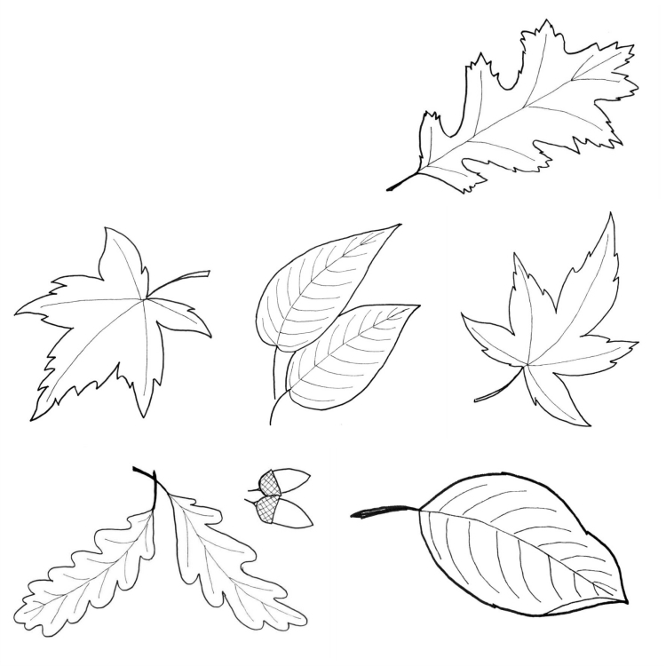 deco-fenetre-automne-feuilles-glands-idees-diy