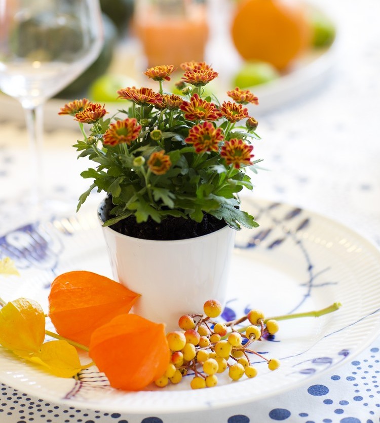 deco-table-automne-amour-cage-fleurs-chrysanthemen