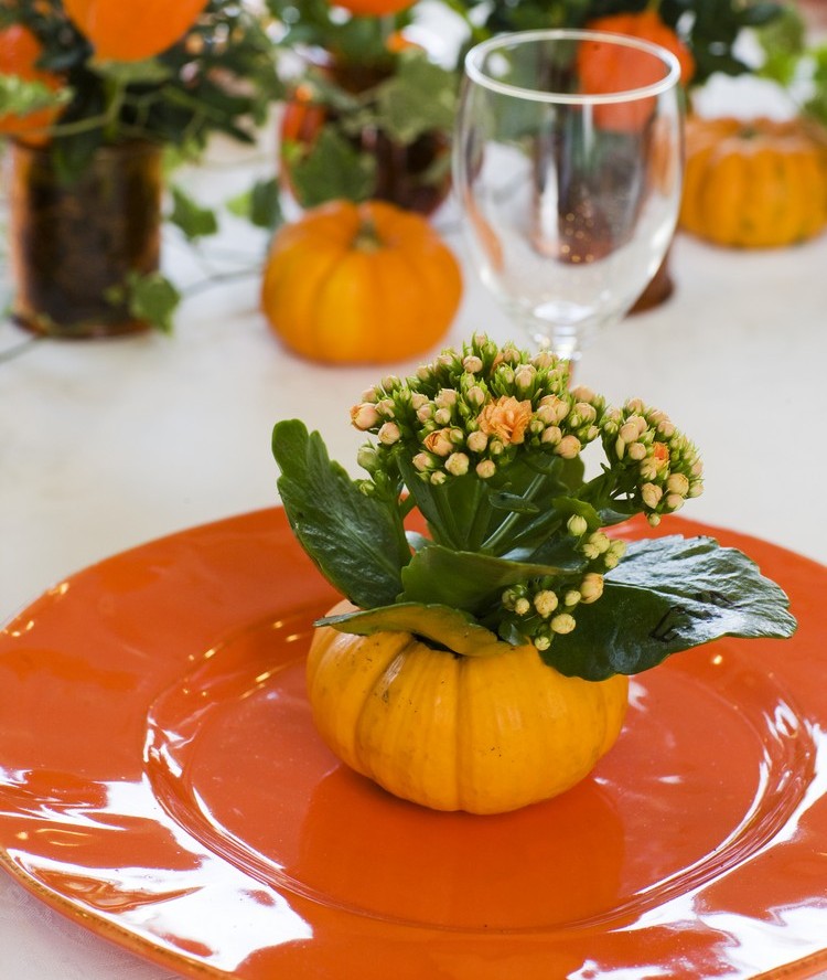 deco-table-automne-citrouilles-fleurs-serviette-orange