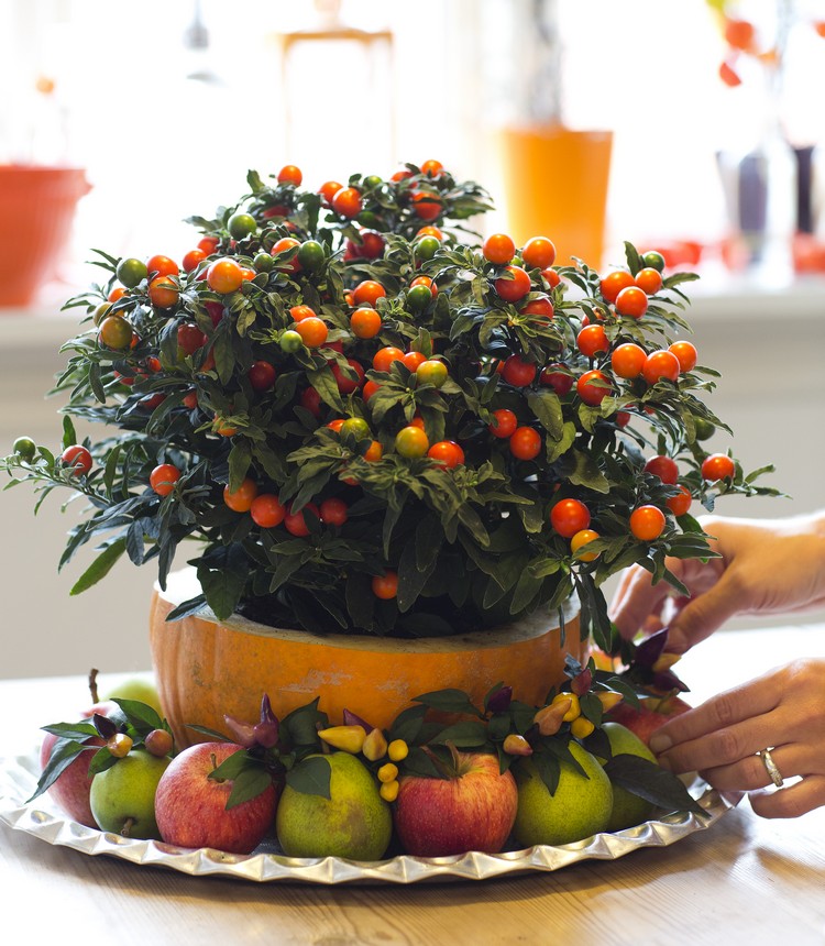deco-table-automne-citrouilles-tomate-cerise-pommes