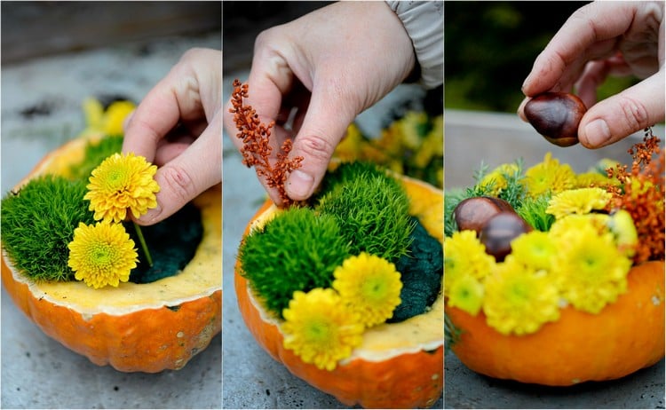 decoration-citrouille-automne-arangement-mousse-chrysanthèmes-châtainges 