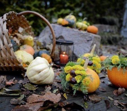 decoration-citrouille-automne-arrangements-fleurs-châtignes-lanternes-corbeille-osier