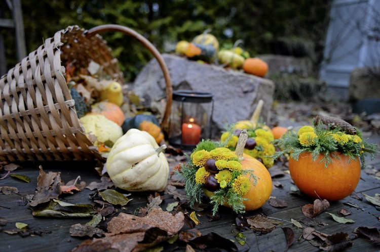 decoration-citrouille-automne-arrangements-fleurs-châtignes-lanternes-corbeille-osier décoration citrouille