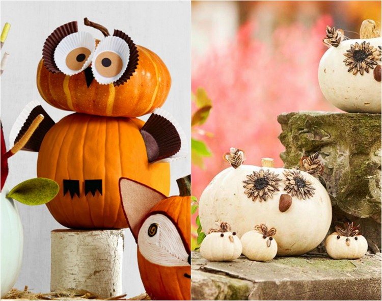 decoration-citrouille-automne-hibou-citrouilles-caissettes-cupcakes-fleurs-tournesols décoration citrouille