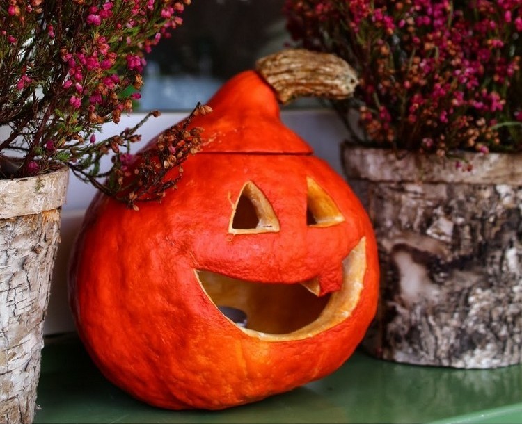 decoration-citrouille-automne-lanterne-citrouille-orange-pots-fleurs-écorce