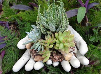 déco-jardin-béton-mains-gants-latex-béton-plantes-succulentes