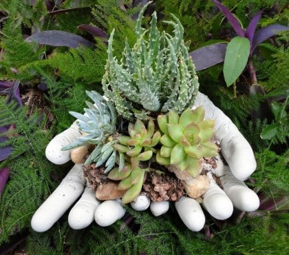 déco-jardin-béton-mains-gants-latex-béton-plantes-succulentes